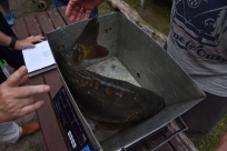 Gminne drużynowe zawody wędkarskie